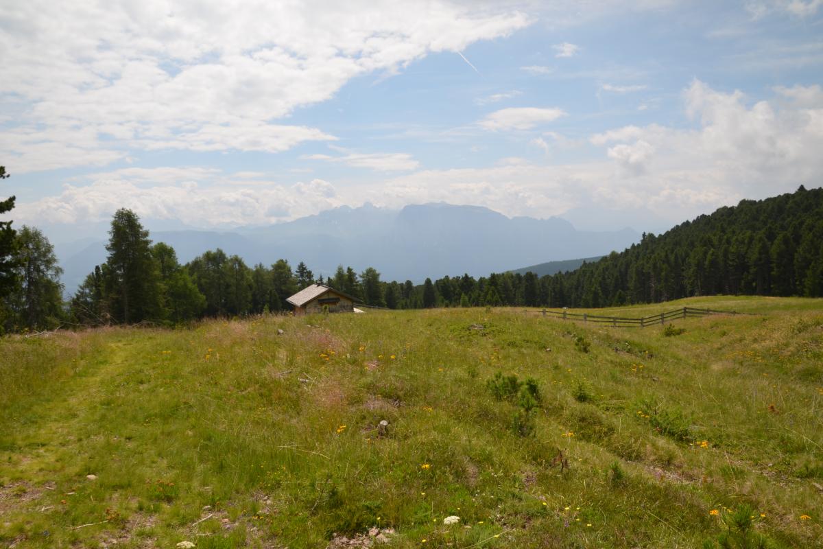 Latschenoelbrennerei und Platzer Alm 09.07.2019